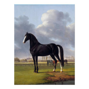 Póster Cavalo Raça Negra por volta de 1828