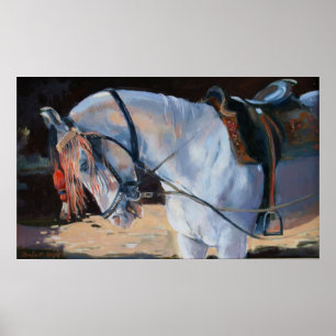 Poster Cavalo Rajasthan 2010 de Marwari