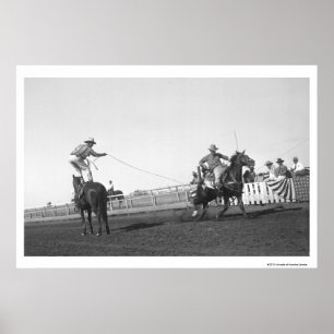 Póster Cavalo Roping