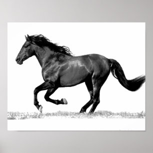 Póster Cavalo Running preto & branco