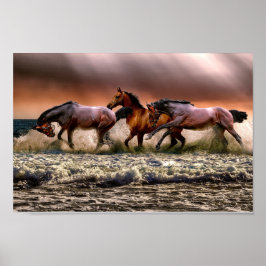 Poster Cavalos