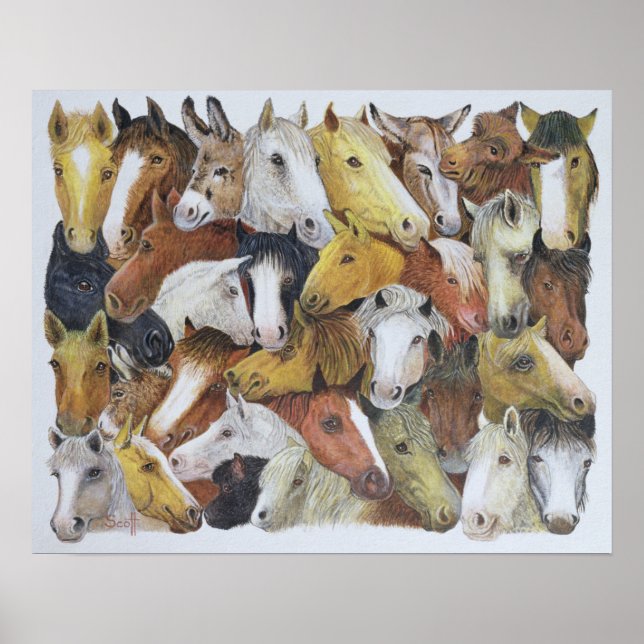 Póster Cavalos (Frente)