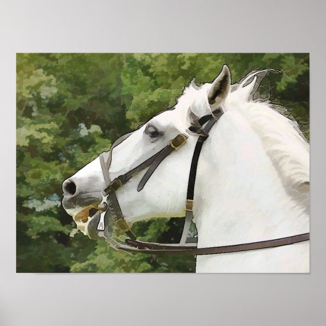 PÓSTER CAVALOS (Frente)