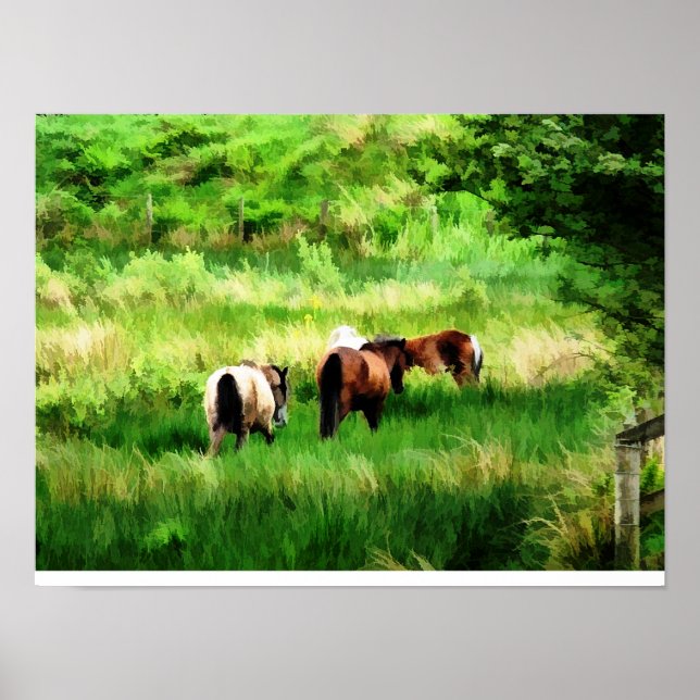 POSTER CAVALOS (Frente)