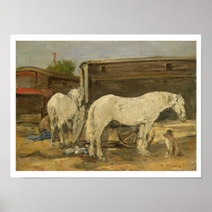 Poster Cavalos aciganados, c.1885-90 (óleo em canvas)