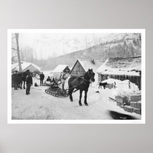 Póster Cavalos Alaska 1912 da fuga de Valdez