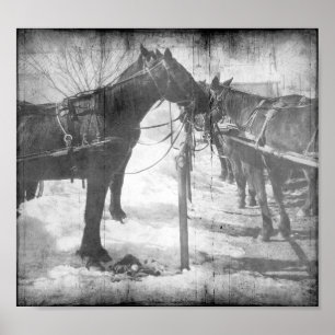Poster Cavalos Amish em Preto e Branco Grunge