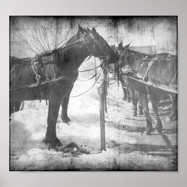 Poster Cavalos Amish em Preto e Branco Grunge (Frente)