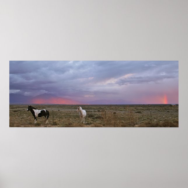 Póster Cavalos após a tempestade (Frente)