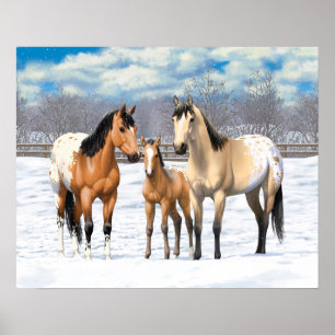 Poster Cavalos Appaloosa De Pele Escareca