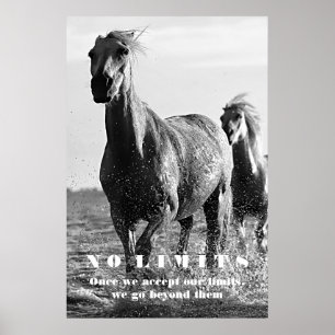 Poster Cavalos brancos pretos Motivação sem limites Traba