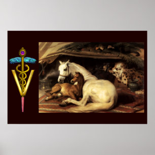 PÓSTER CAVALOS COM SÍMBOLO VETERINÁRIO CADUCEU DE OURO