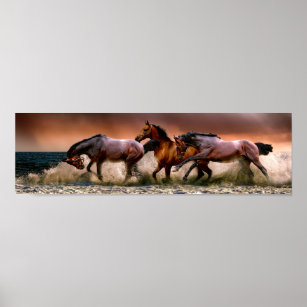 Poster Cavalos correndo no Surf