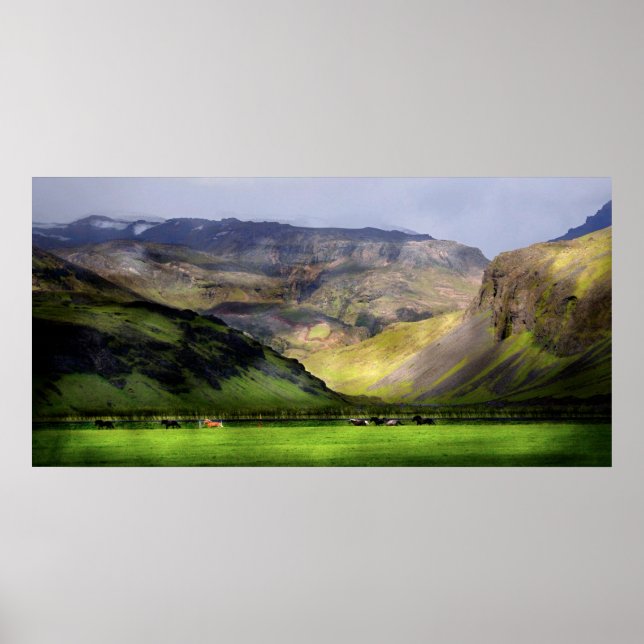 Póster Cavalos corridos Islândia (Frente)