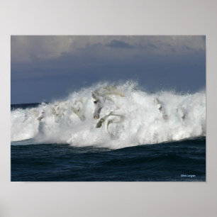 Poster Cavalos da fantasia: Mar