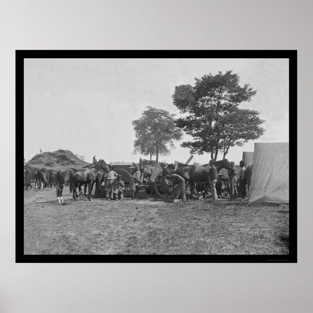 Póster Cavalos de Atirada de ferreiro em Antietam 1862 (Frente)