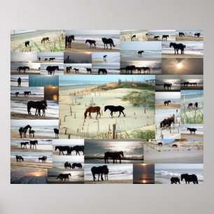 Poster Cavalos de Carova