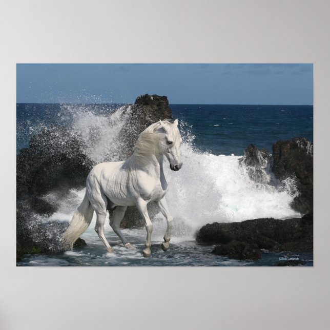 Poster Cavalos de Fantasia no Sul do Mar (Frente)