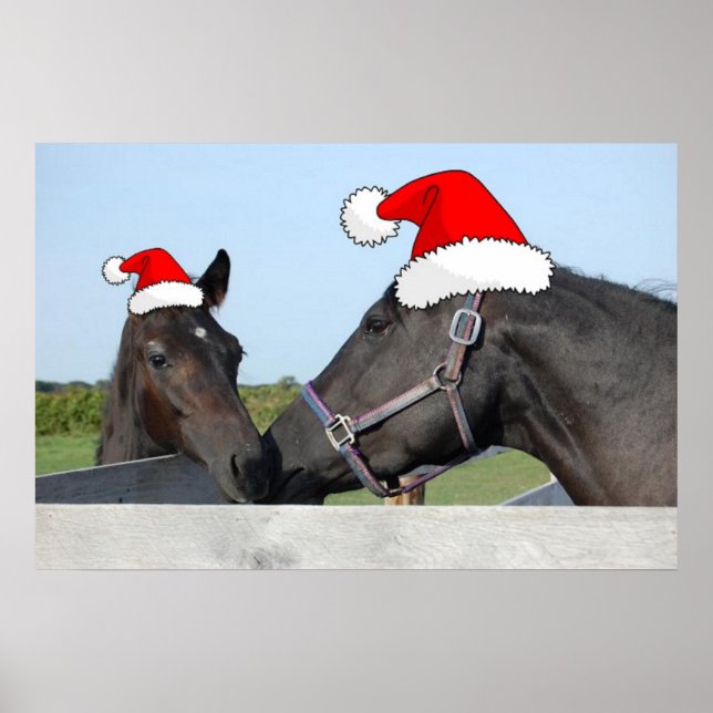 Póster Cavalos de Natal (Frente)