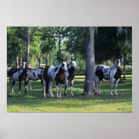 Cavalos de Tintas nas Árvores