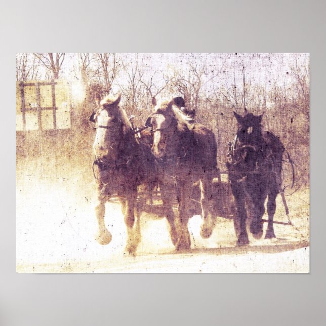 Poster Cavalos de trabalho (Frente)