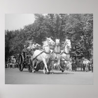 Cavalos do Departamento de Bombeiros, 1925. Foto A