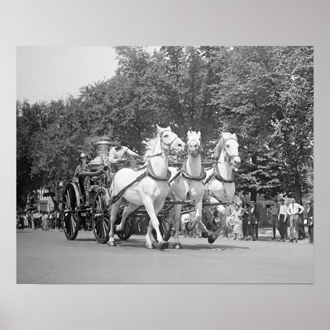 Poster Cavalos do Departamento de Bombeiros, 1925. Foto A (Frente)