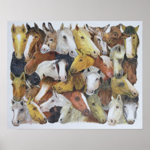 Póster Cavalos dos cavalos