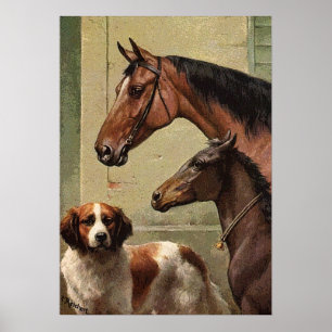 Póster Cavalos e arte do vintage de St Bernard
