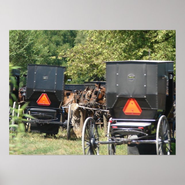 Poster Cavalos e Buggies de Amish (Frente)