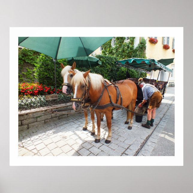 Poster Cavalos e carruagem em St Wolfgang (Frente)