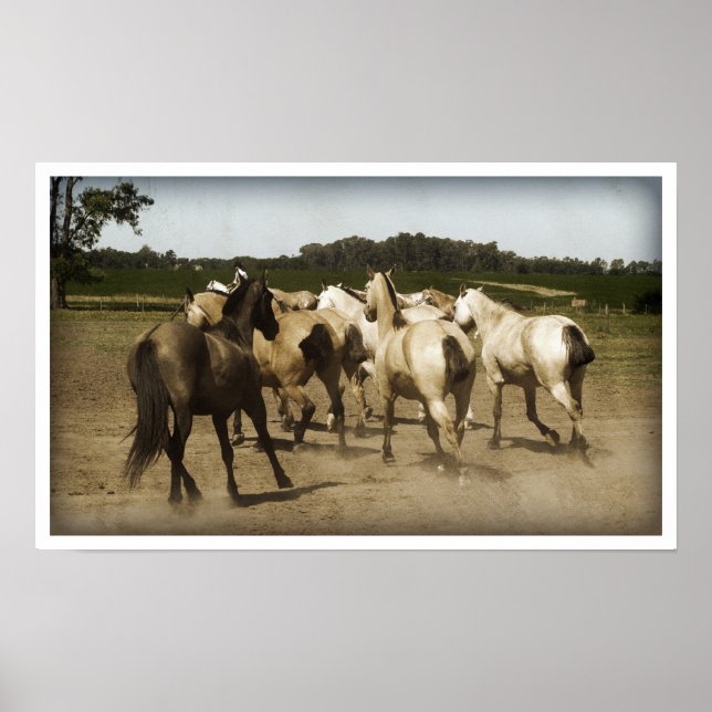 Poster Cavalos em Execução (Frente)