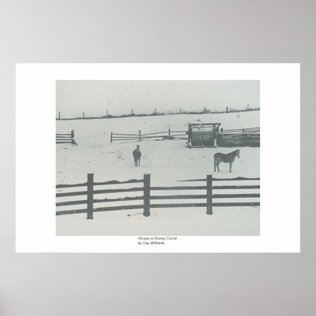Póster Cavalos em Snowy Corral (Frente)