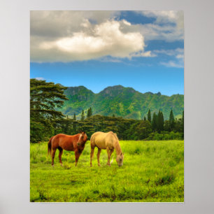 Poster Cavalos Havaianos, Pico de Hokulei, Kauai, Vertica