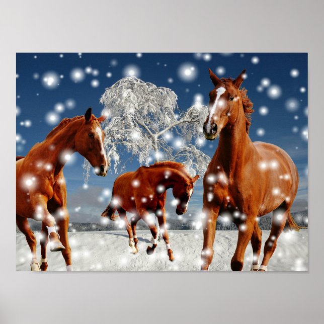 Poster Cavalos Jogando Neve (Frente)