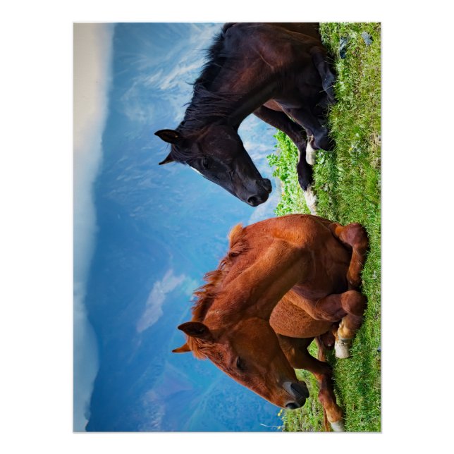 Póster Cavalos Moody Mountain: Uma Viagem de Arte Refinad (Frente)