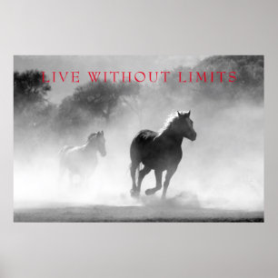 Poster Cavalos Motivacionais Vivem Sem Limites