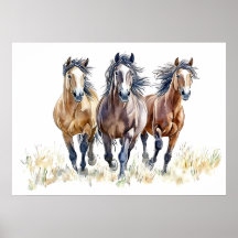 Cavalos Mustang Selvagens e Livres do Oeste