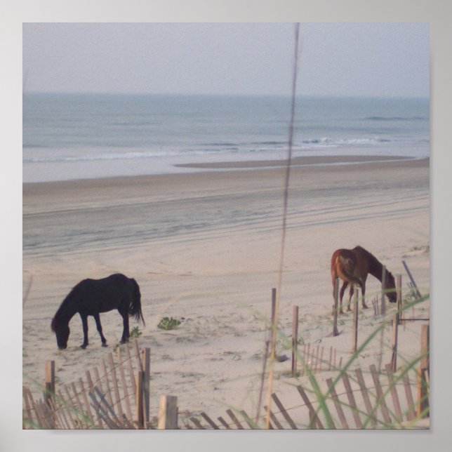 Póster Cavalos na areia (Frente)