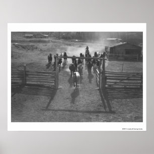Póster Cavalos na cerca