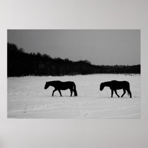 Poster Cavalos na neve