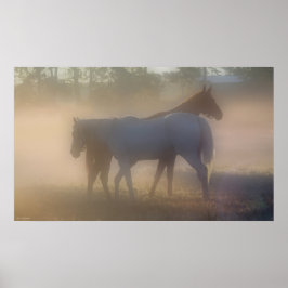 Póster Cavalos na Névoa da Manhã