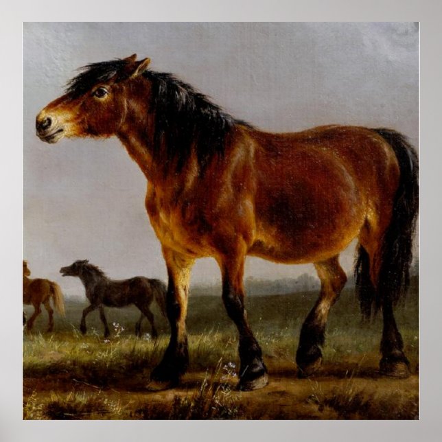 Poster Cavalos na Paisagem Plana (Frente)