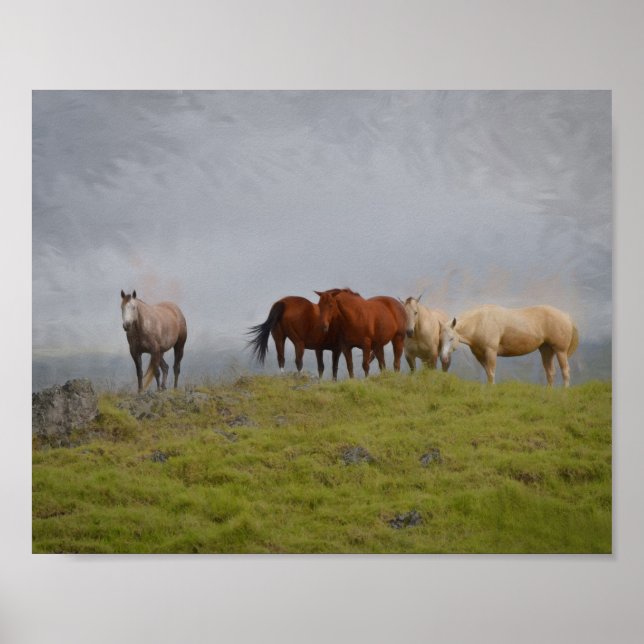 Poster Cavalos na Pastura (Frente)