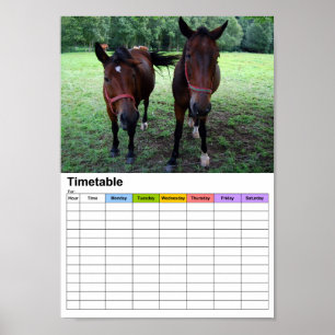 Póster Cavalos no pasto / Horário