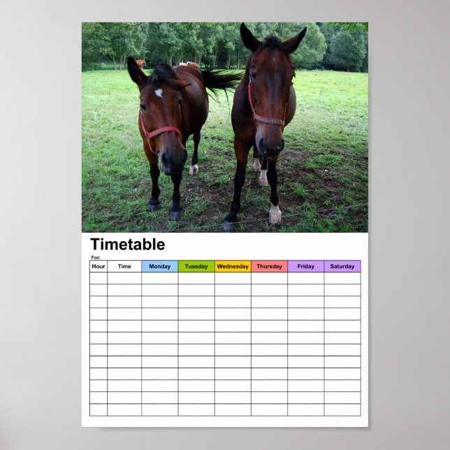 Póster Cavalos no pasto / Horário (Frente)