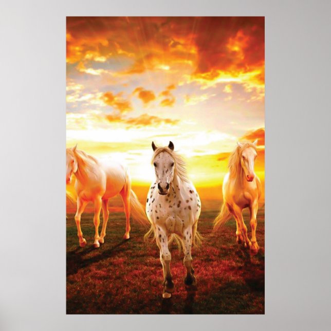Poster Cavalos no travesseiro decorativo solar (Frente)