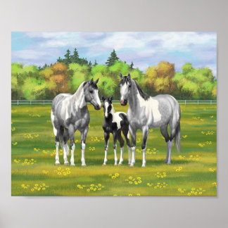 Poster Cavalos Pintos Tordilho Dapple Gray em Pastagem de