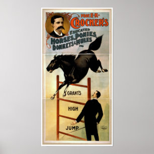 Póster Cavalos, pôneis, asnos, e mulas educados