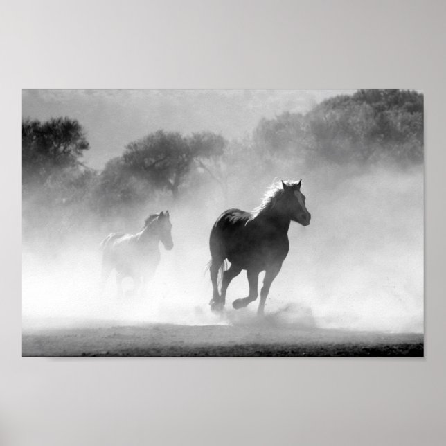 Poster Cavalos preto e branco (Frente)